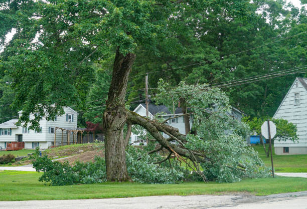 Bunk Foss, WA Tree Service Company